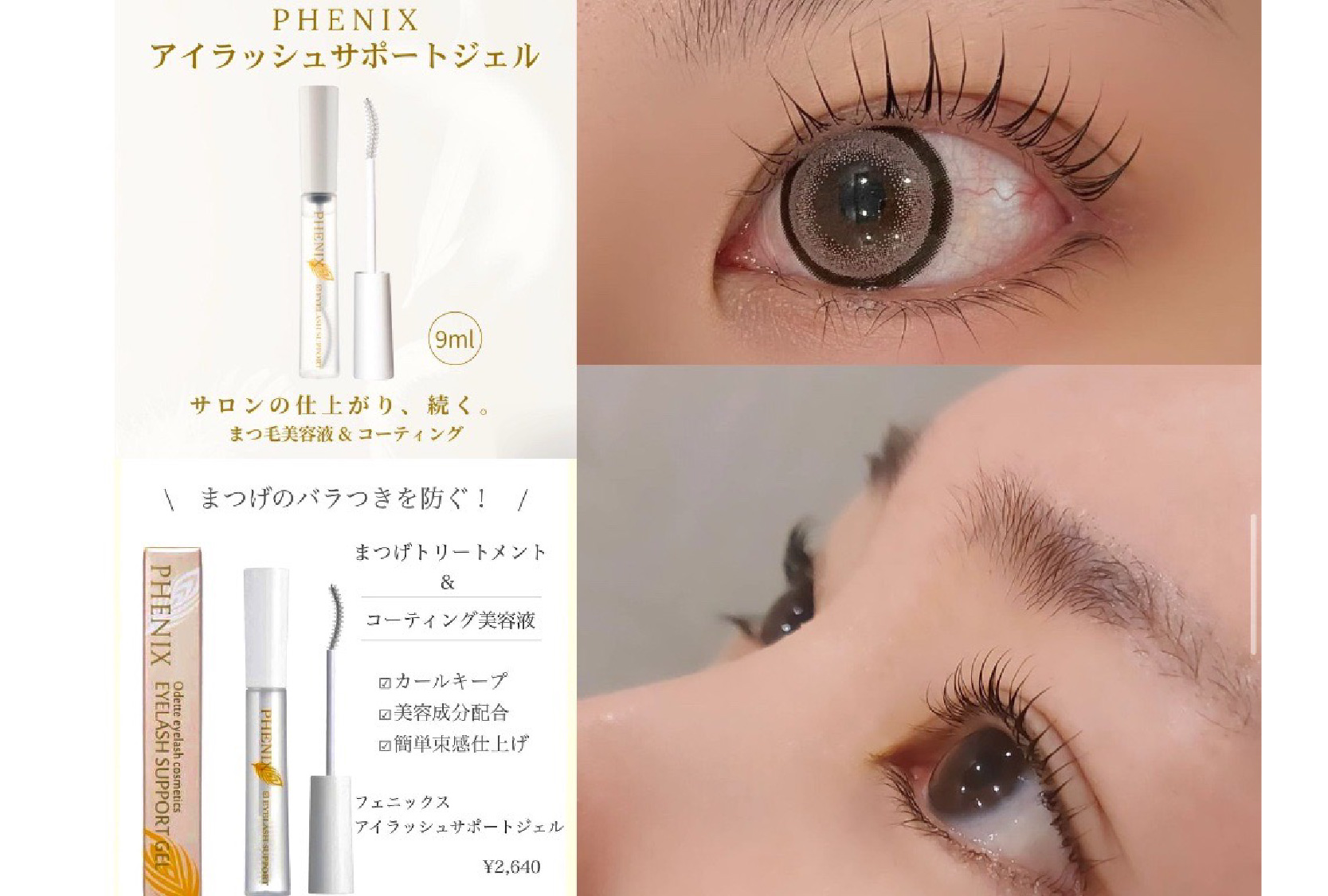 キャンペーンメニュー