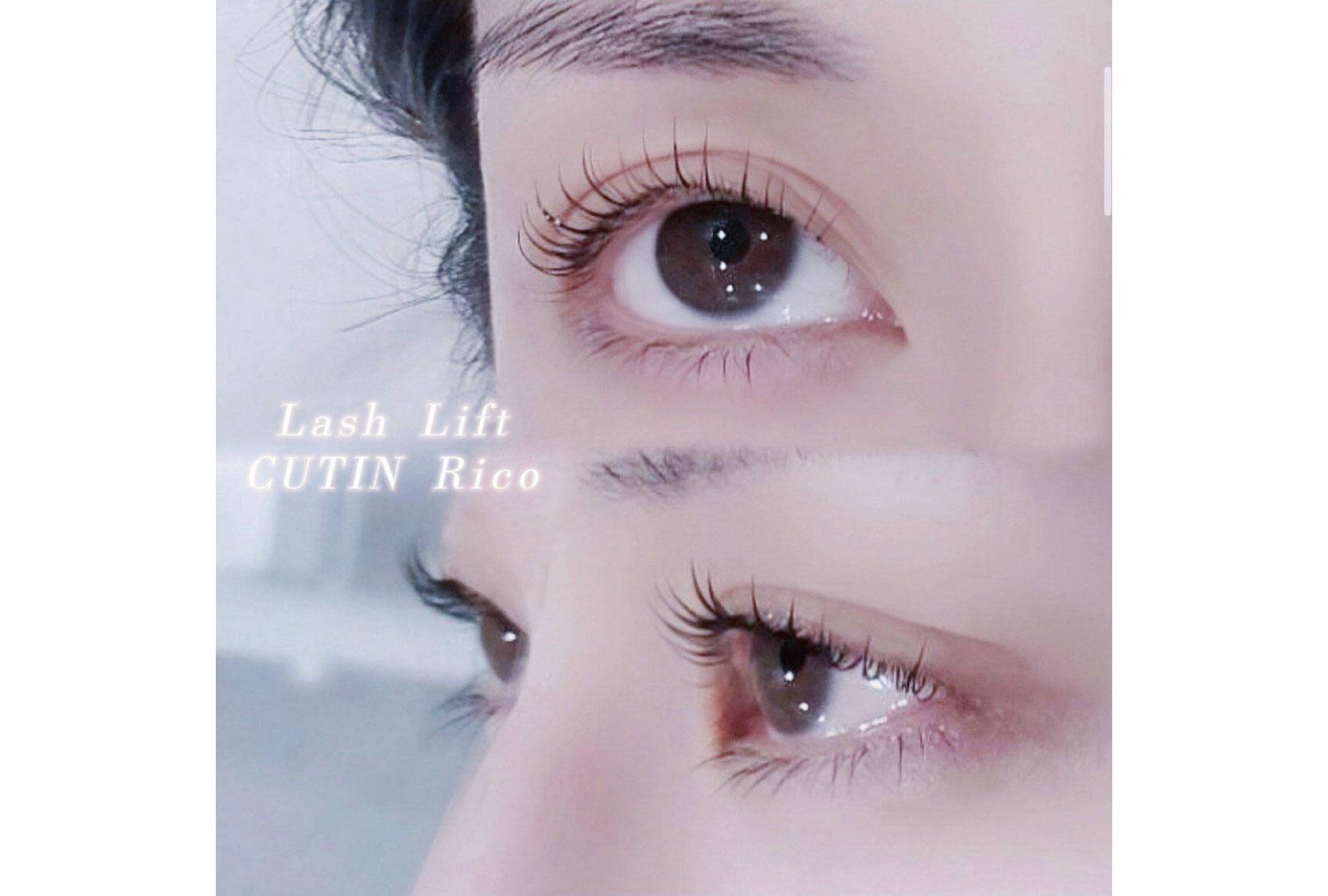 キャンペーンメニュー